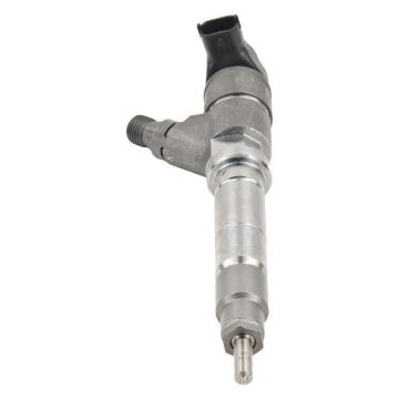 BOSCH 0445110189 injector